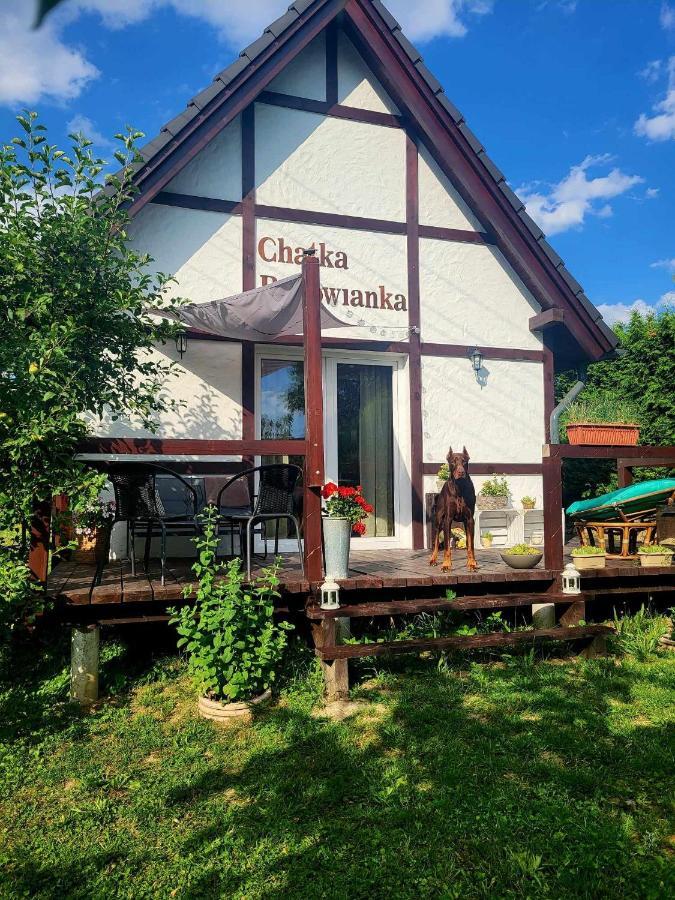 Chatka Bukowianka W Bukowcu Kolo Karpacza Bukowiec  외부 사진